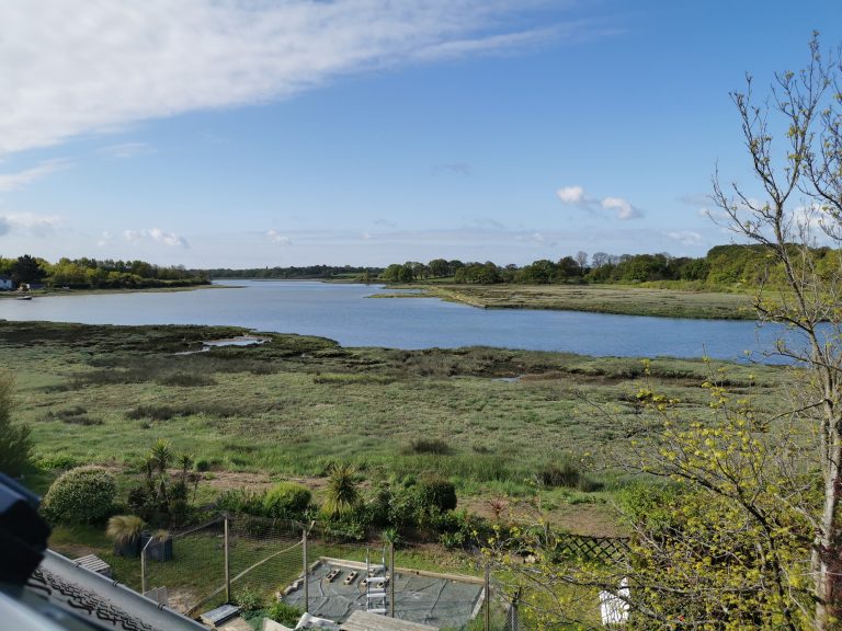 Vue sur les marais de Séné depuis la fenêtre créée